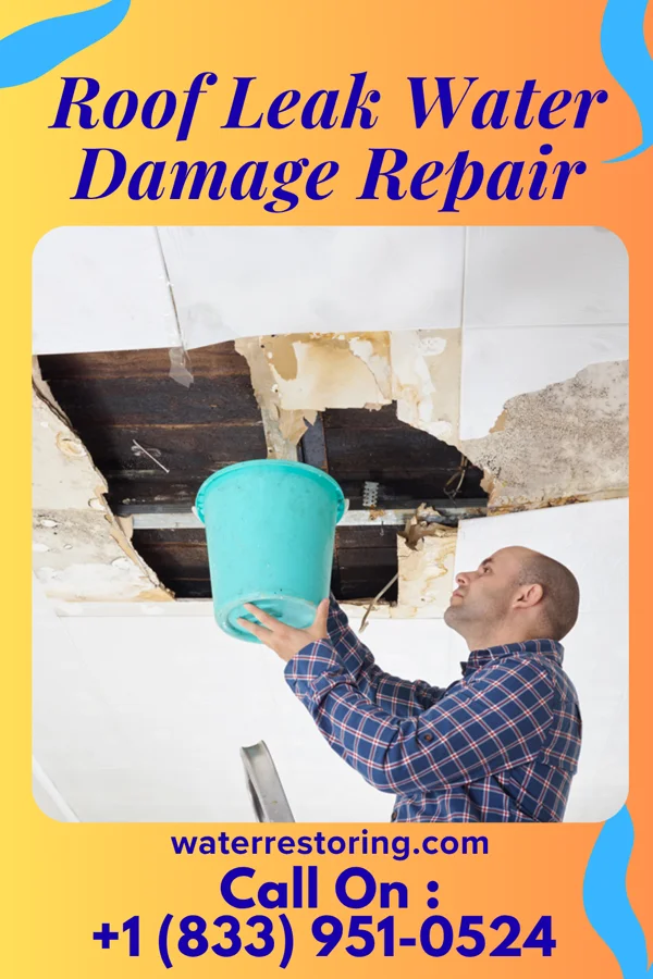 Roof Leak Water Damage Repair in Kingman, AZ